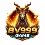 BV999 Game