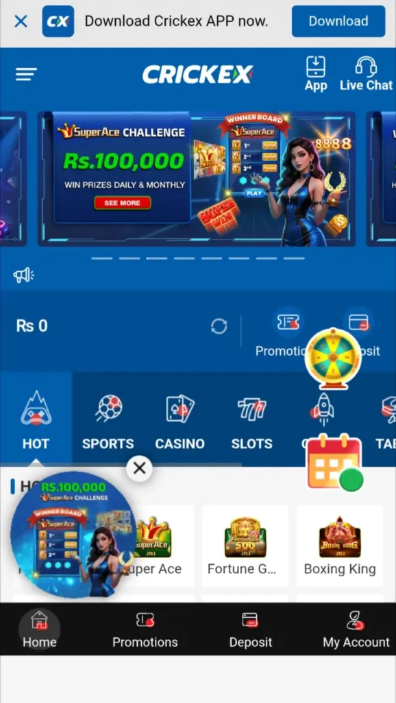 Crickex Game interface screenshot image.