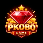 PK080 game