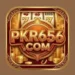 PKR656 Game