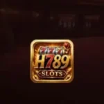 H789 Game