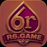 6R Game